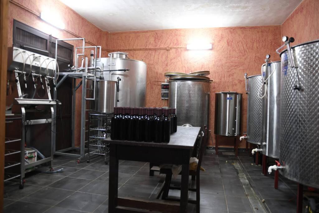 Finca Angelus Apartment Syrah With Amazing Views La Matanza De Acentejo Exterior photo
